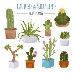 Cactuses and succulents icon set. Houseplants