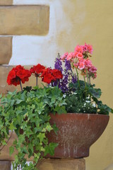 Fototapeta na wymiar Bunte Blumen blühen in Einpflanzung vor Hauseingang