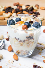 Healthy dessert with yogurt, nuts, oats and blueberries