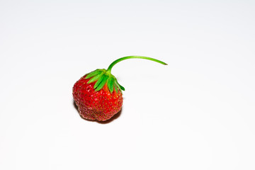 Erdbeere in der Küche zum essen