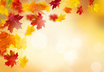 Naklejka na ściany i meble Bright autumn leaves.
