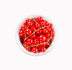 Red currants in the bowl. Ripe and tasty currant isolated on white background.