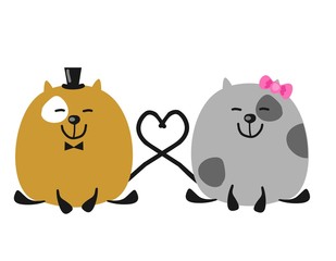 Коты молодожены