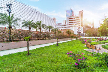 Fototapeta premium View Of Modern Office Buildings From Park