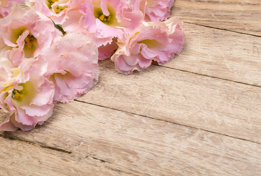  flowers on aged wooden background
