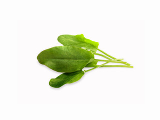spinach