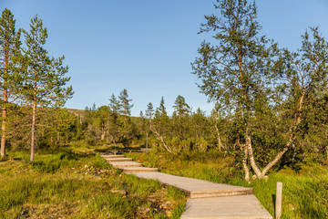Fototapeta na wymiar Boardwalk in Urho Kekkonen National Park in Finland. It is one of the 
