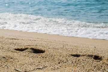Footsteps on the sand beach, sea on background, seashore