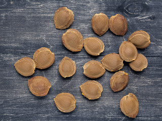 apricot seeds