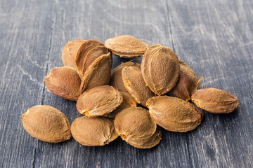 apricot seeds
