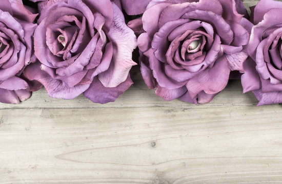 Hình ảnh hoa hồng tím rực rỡ và quyến rũ đang chờ đón bạn khám phá! Những cánh hoa hồng tím đầy sức sống sẽ mang đến cho bạn niềm vui và cảm hứng tuyệt vời. Hãy xem qua hình ảnh này và cảm nhận sự đẹp mộng mơ của loài hoa hồng tím.