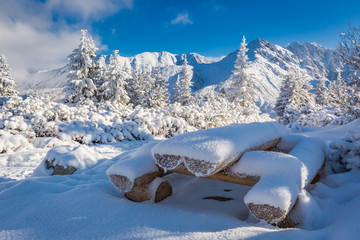 Naklejka premium Snow covered bench on a trail in Tatra Mountains, Poland