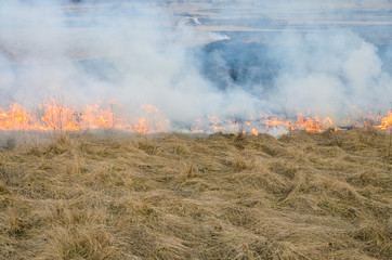 Line of the fire - burning meadow grass