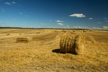 Golden hay-roll on meadow and blue sky