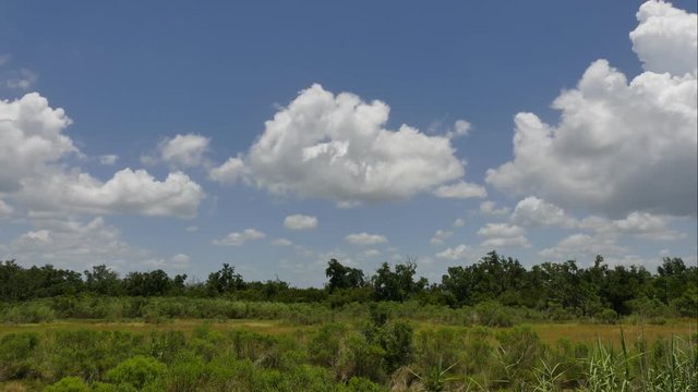 Clouds on the bayou or swamp