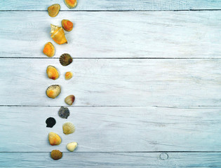 Few summer marine shells on a wooden background.Top view.