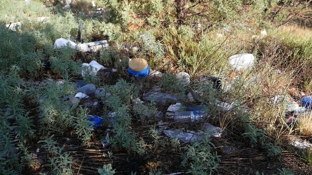 Litter and trash strewn along the side of a road