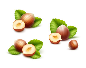 Vector Set of Full and Half Peeled Unpeeled Realistic Hazelnuts with Leaves Close up Isolated on White Background
