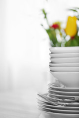 Set of dishes for dinner party