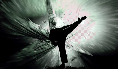 Foto auf Acrylglas Kampfkunst Kampfkunst