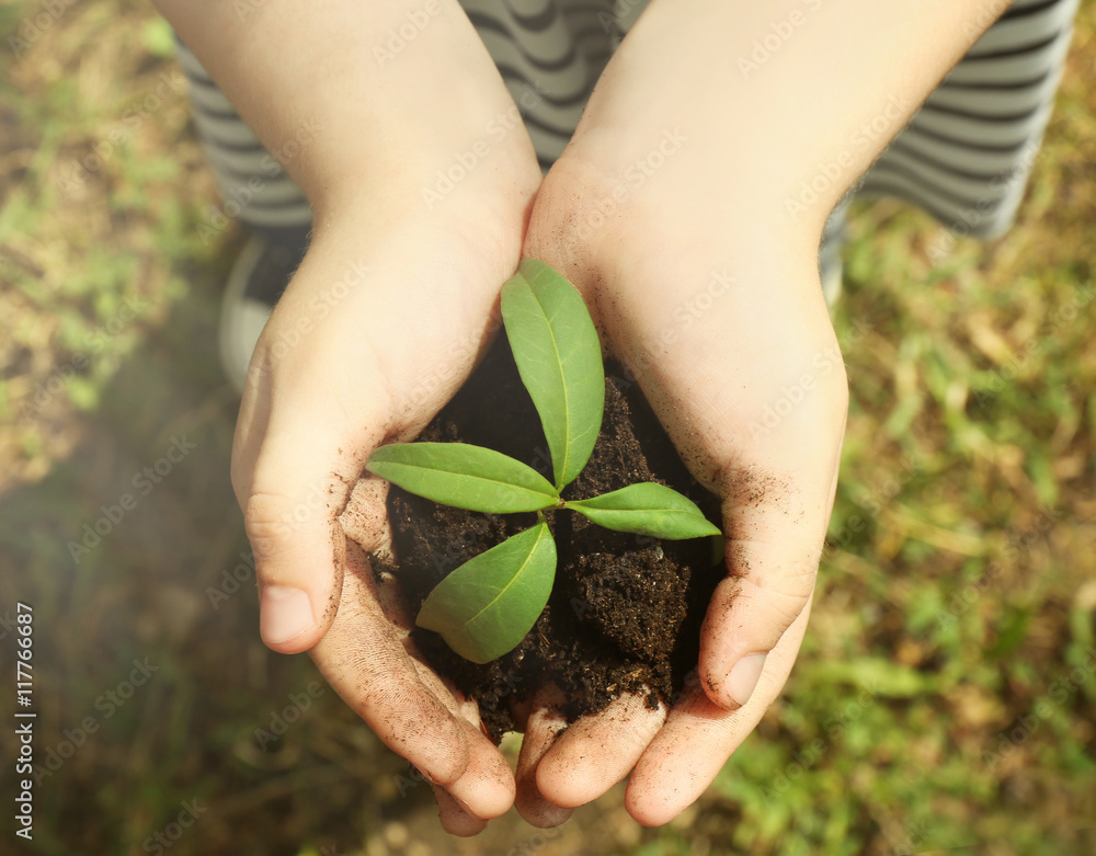 Poster child holding soil and plant in hands outdoor