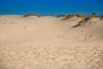 The dunes of the Slowinski national park in Poland