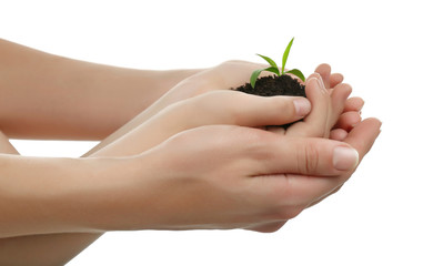 Child and mother holding soil and plant isolated on white