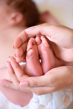 tiny foot of newborn baby