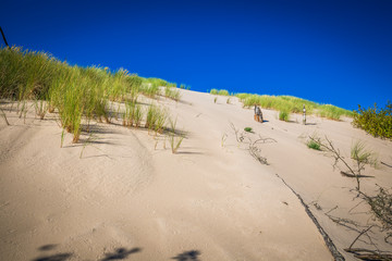 The dunes of the Slowinski national park in Poland