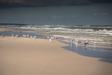 A view of beautiful sandy beach in Leba town, Baltic Sea, Poland
