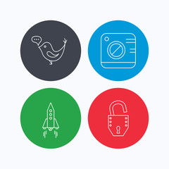 Photo, social media and rocket icons.
