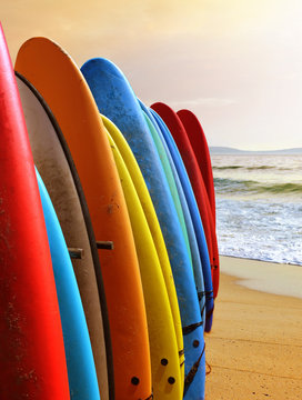 Surf Boards