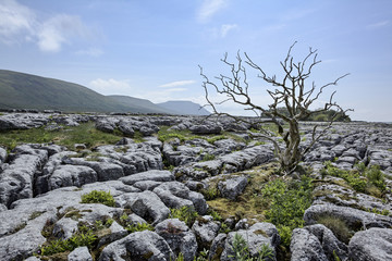Ingleborough