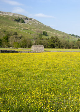 Muker barn