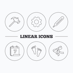 Footprint, bow and thermometer icons.