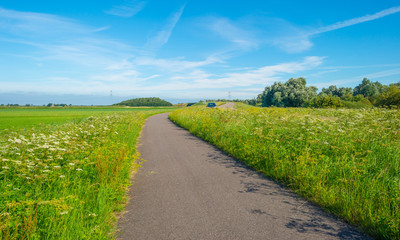 Fototapeta na wymiar Road through the countryside in summer