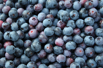 background of blue blueberries
