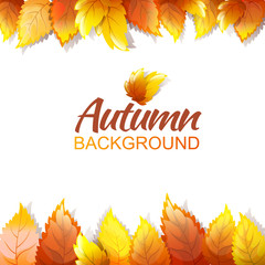 Autumn Background Template