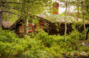 Fototapeta na wymiar House in forest