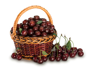 The big crop of a cherry