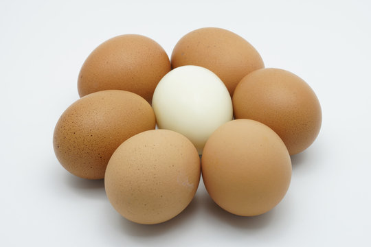 A boiled egg in the middle six hen eggs