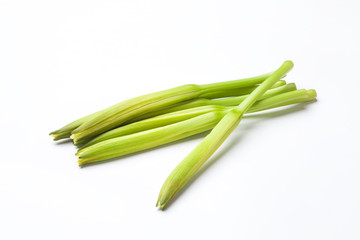 fresh daylily isolated on white background