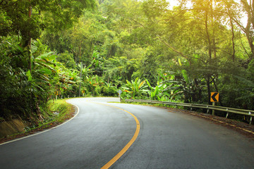 Abstract background of route and journey amidst the natural beautiful in the forests.