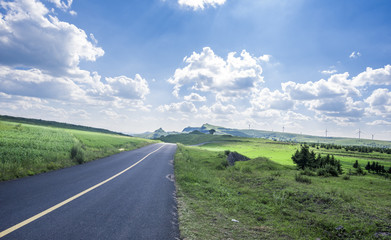 Fototapeta na wymiar empty asphalt road on grassland