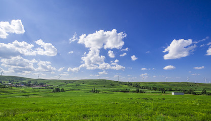 natural grassland, Zhangjiakou, Hebei, China