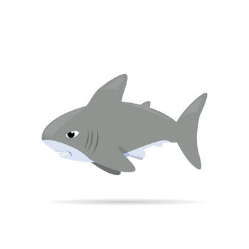 Vector illustration ,white shark ,Cartoon 