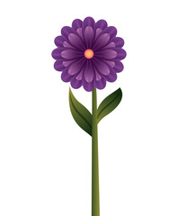 flower floral nature icon