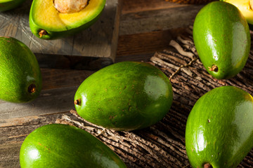 Raw Green Organic Florida Avocados