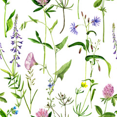 seamless pattern with watercolor drawing flowers and herbs