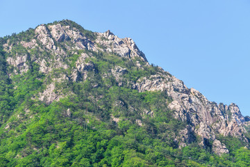 Mountain Range in Seoraksan National Park